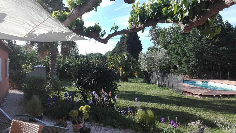 Mas Uranie Le Soler Exterior foto